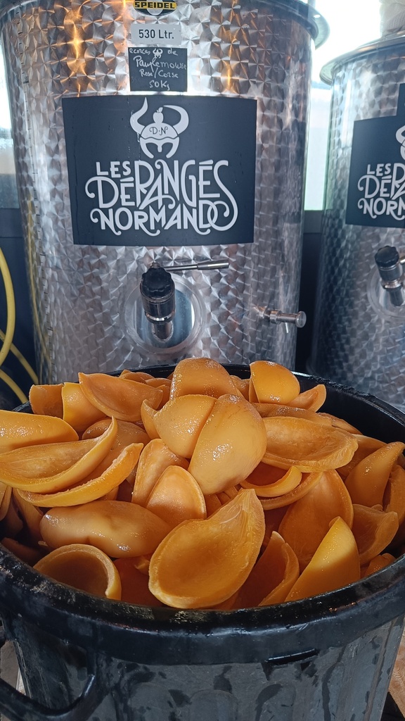 Dérangé 50 Nuances de Plantes