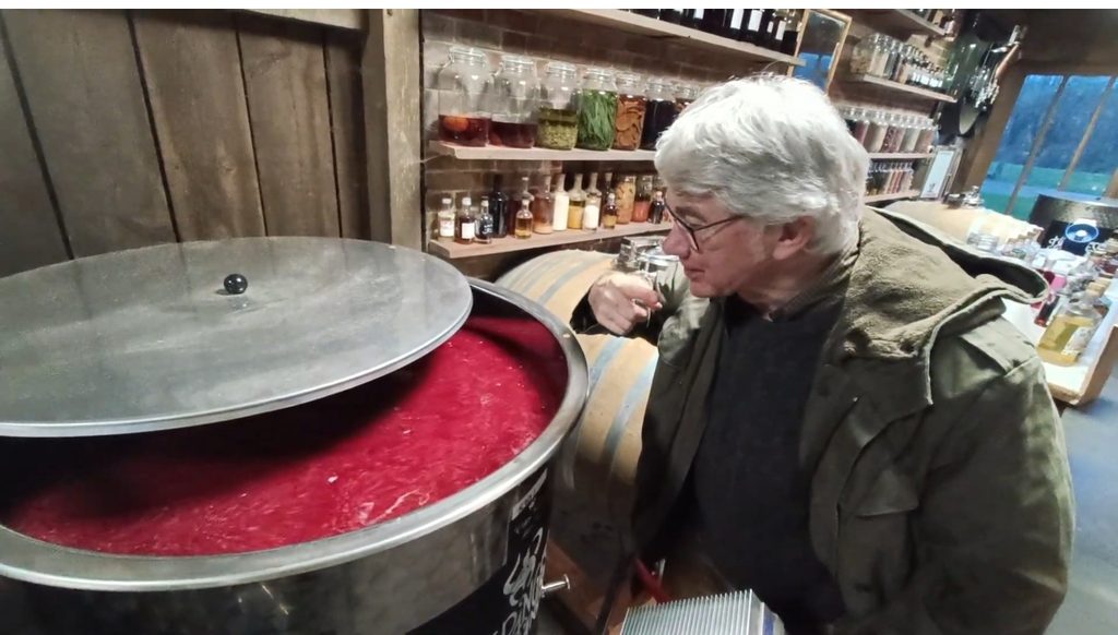 Dérangé Framboise