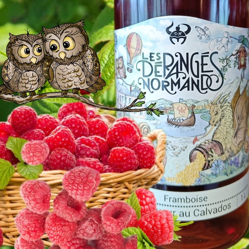 Dérangé Framboise